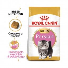ROYAL CANIN KITTEN PERSIAN - 2KG