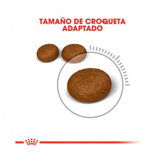 ROYAL CANIN HAIR & SKIN CARE