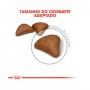 ROYAL CANIN HAIRBALL CARE ROYAL CANIN HAIRBALL CARE
