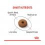 ROYAL CANIN STERILISED APPETITE CONTROL ROYAL CANIN STERILISED APPETITE CONTROL