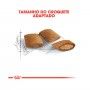 ROYAL CANIN AGEING +12 ROYAL CANIN AGEING +12