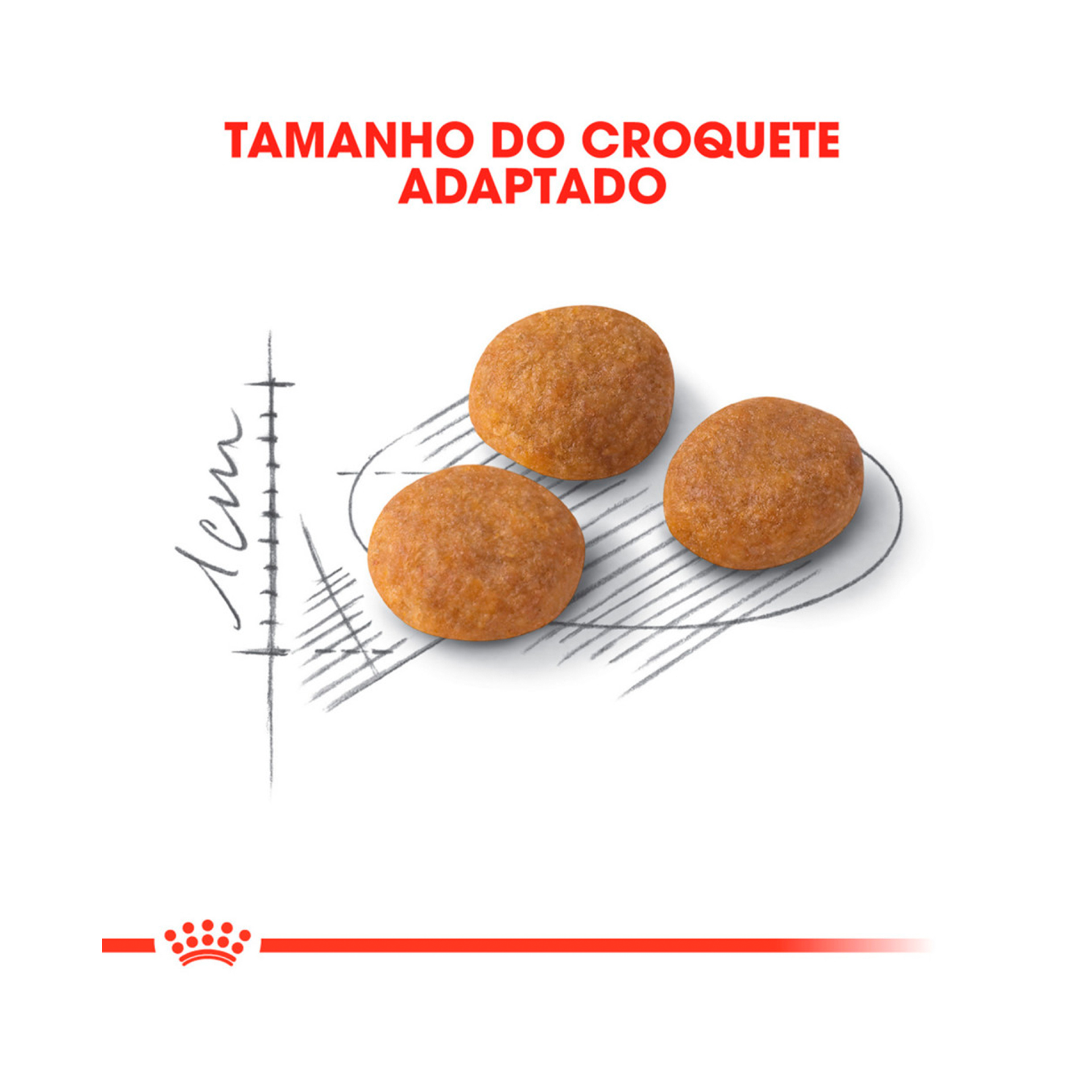 ROYAL CANIN EXIGENT AROMATIC - 400GR