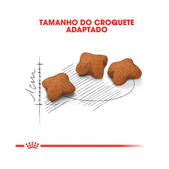 ROYAL CANIN GATINHO STERILISED
