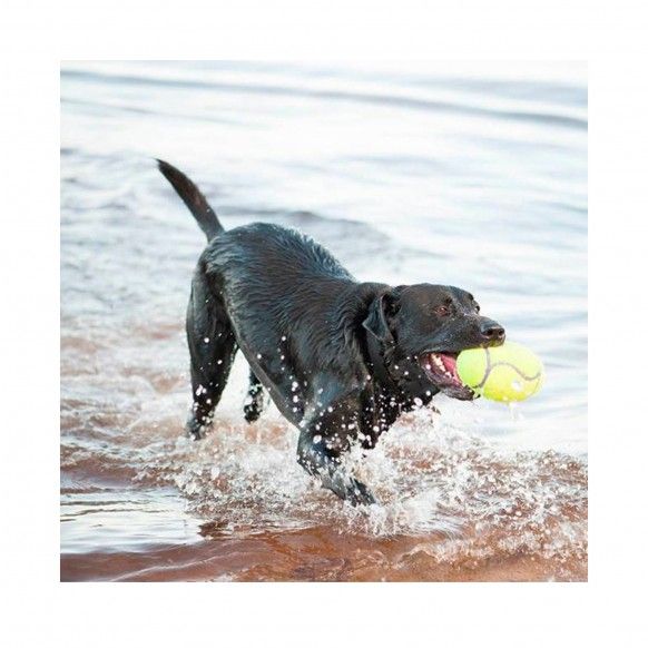 KONG AIRDOG FOOTBALL