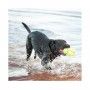 KONG AIRDOG FOOTBALL
