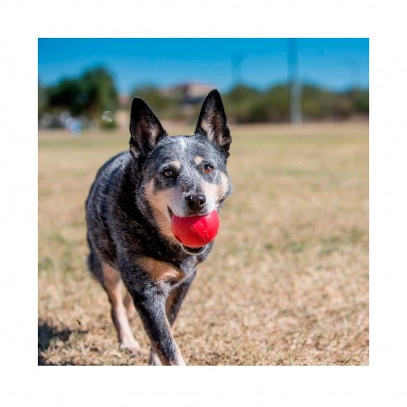 KONG BALL SMALL