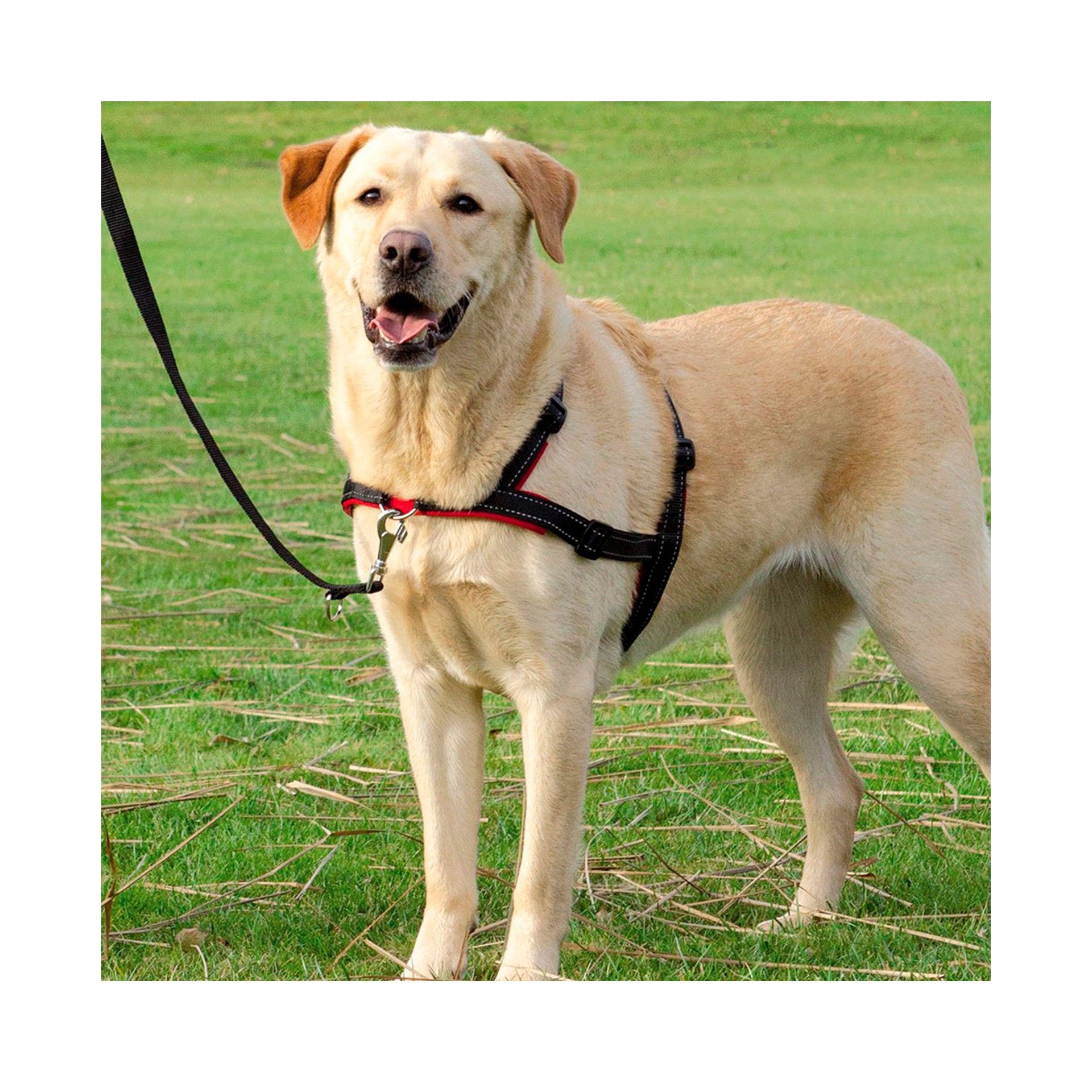 PEITORAL DE TREINO "LEADNWALK SOFT"