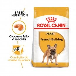 BHN FRENCH BULLDOG ADULT