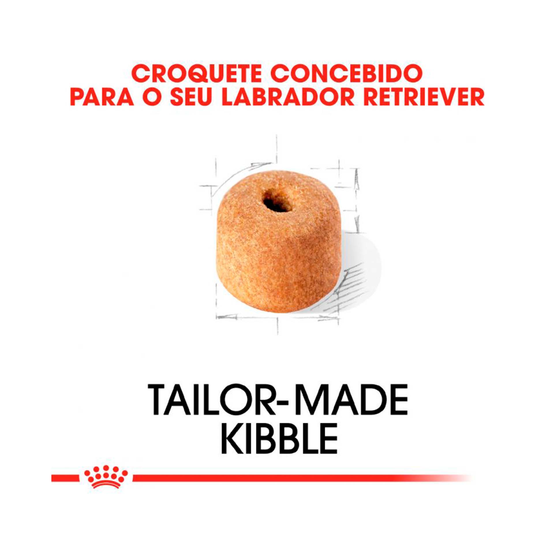 ROYAL CANIN LABRADOR RETRIEVER ADULT