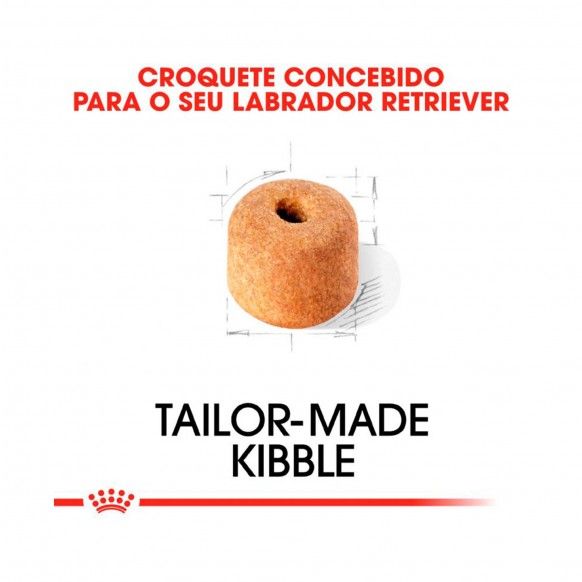 ROYAL CANIN LABRADOR RETRIEVER ADULT