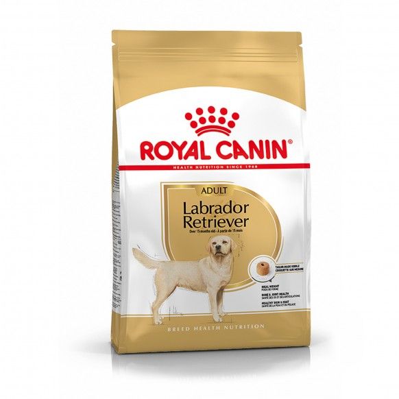 ROYAL CANIN LABRADOR RETRIEVER ADULT