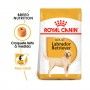 ROYAL CANIN LABRADOR RETRIEVER ADULT ROYAL CANIN LABRADOR RETRIEVER ADULT