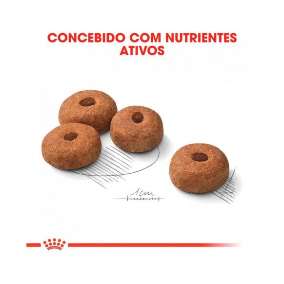 ROYAL CANIN MAXI ADULT STERILISED