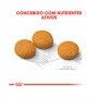 ROYAL CANIN MEDIUM DERMACOMFORT ROYAL CANIN MEDIUM DERMACOMFORT