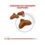 ROYAL CANIN LIGHT WEIGHTCARE ROYAL CANIN LIGHT WEIGHTCARE