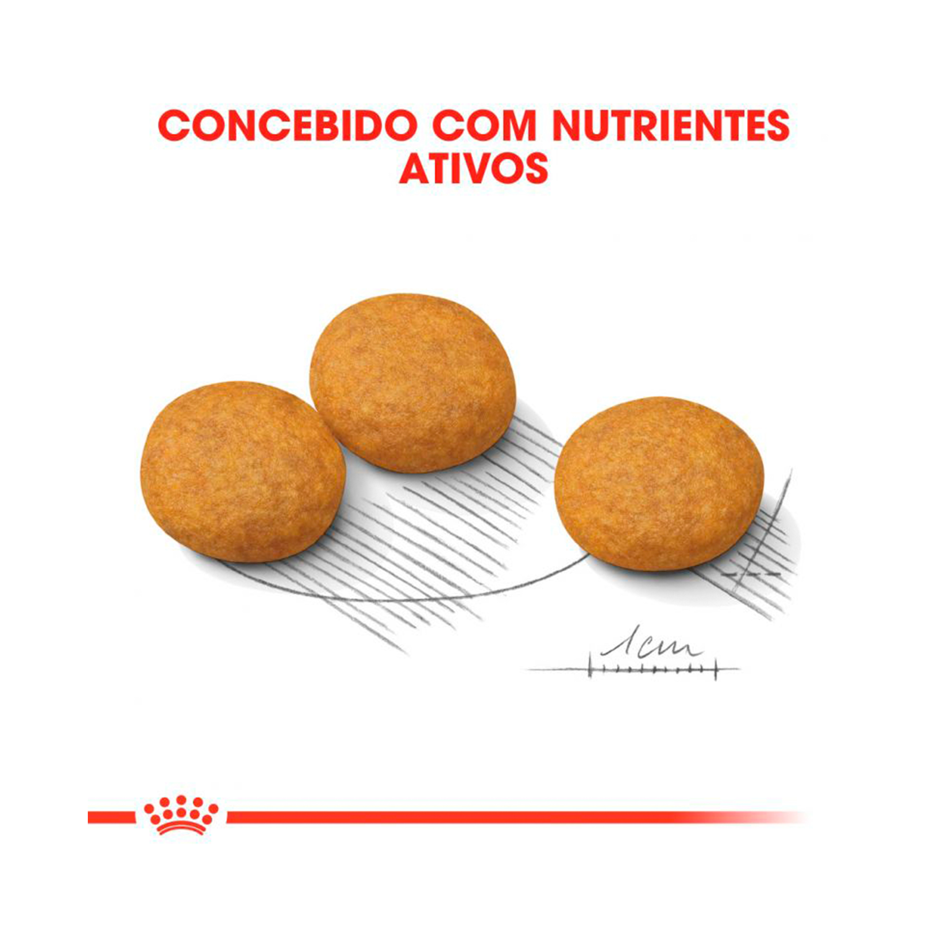 ROYAL CANIN MEDIUM DERMACOMFORT