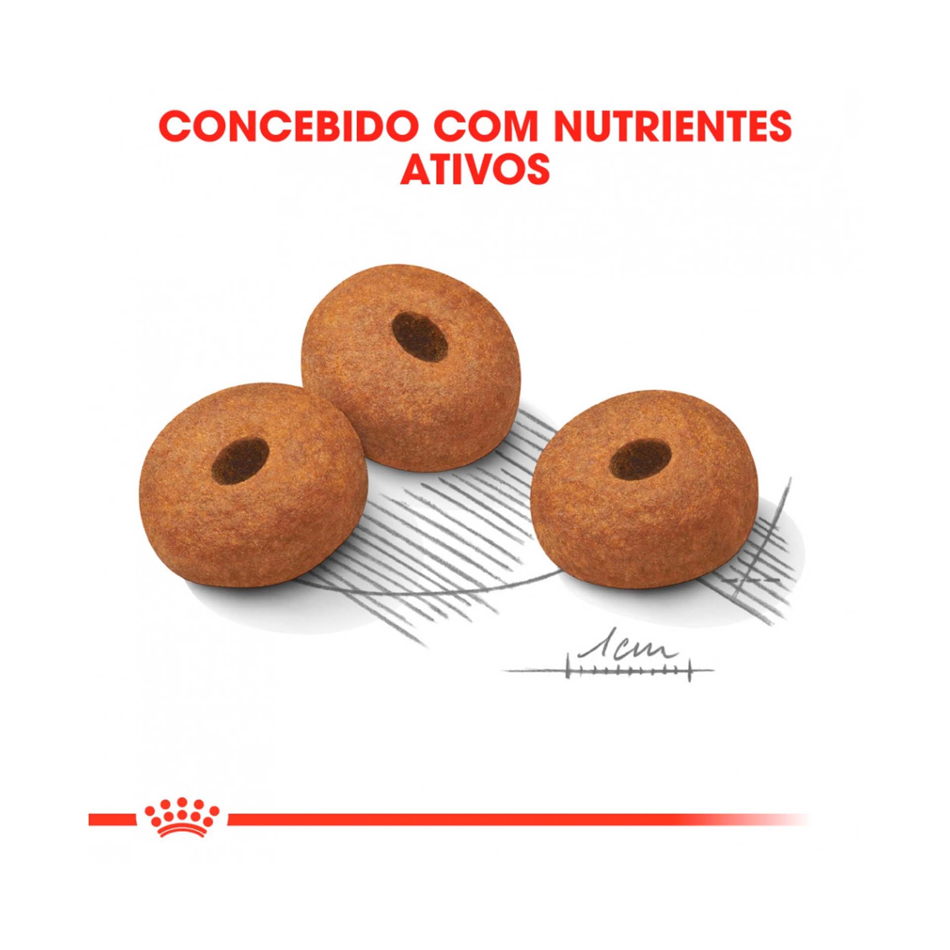 ROYAL CANIN MAXI LIGHT WEIGHTCARE