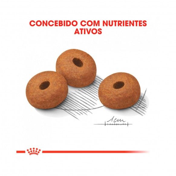 ROYAL CANIN MAXI LIGHT WEIGHTCARE