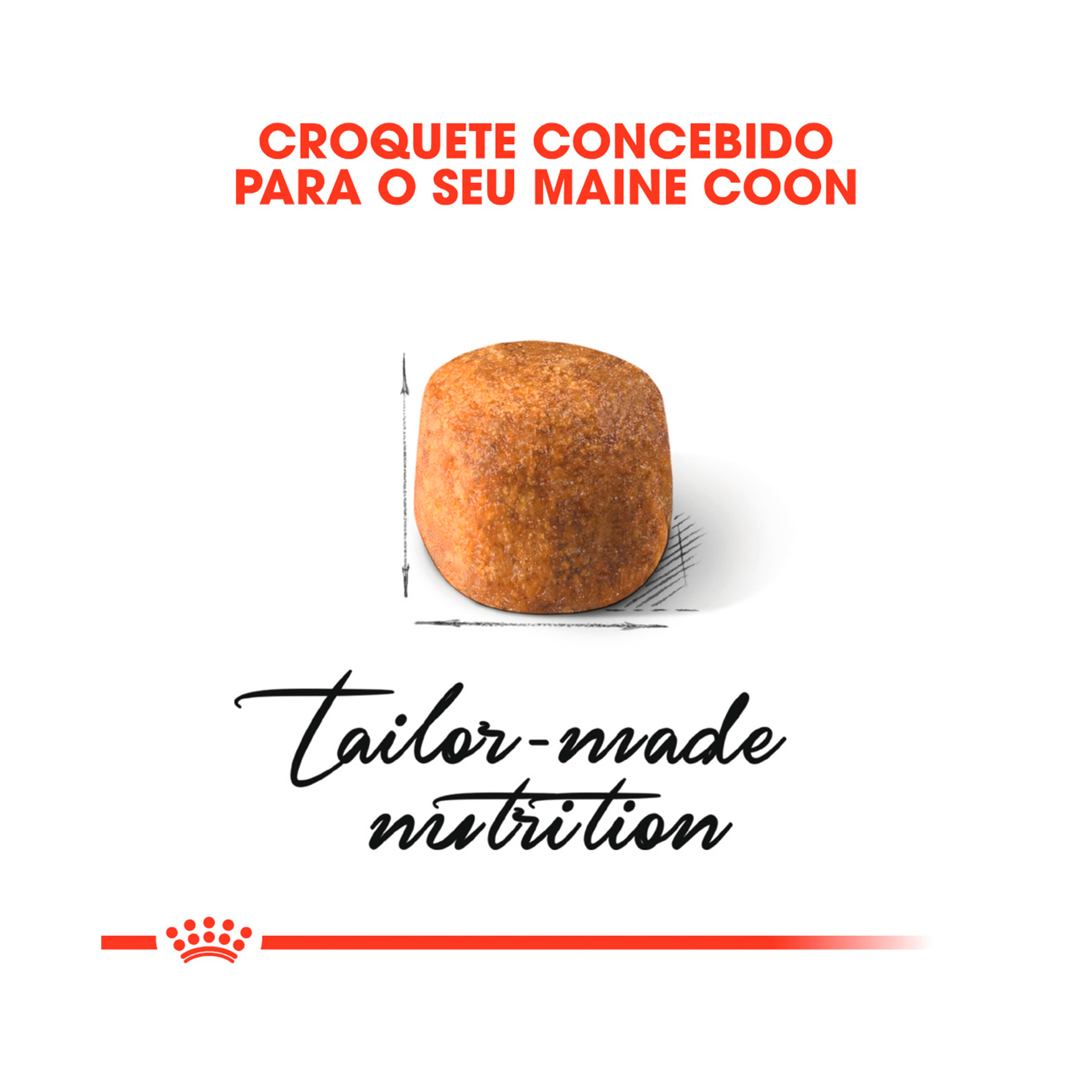 ROYAL CANIN MAINE COON - 4KG