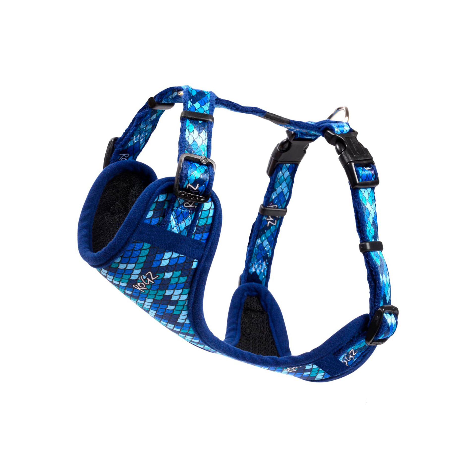 PEITORAL AMPHIBIAN BLUE