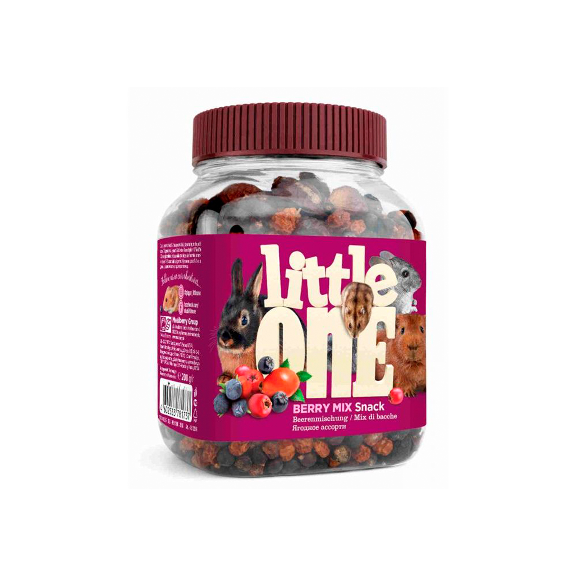 SNACK MIX DE FRUTOS SILVESTRES - 200GR