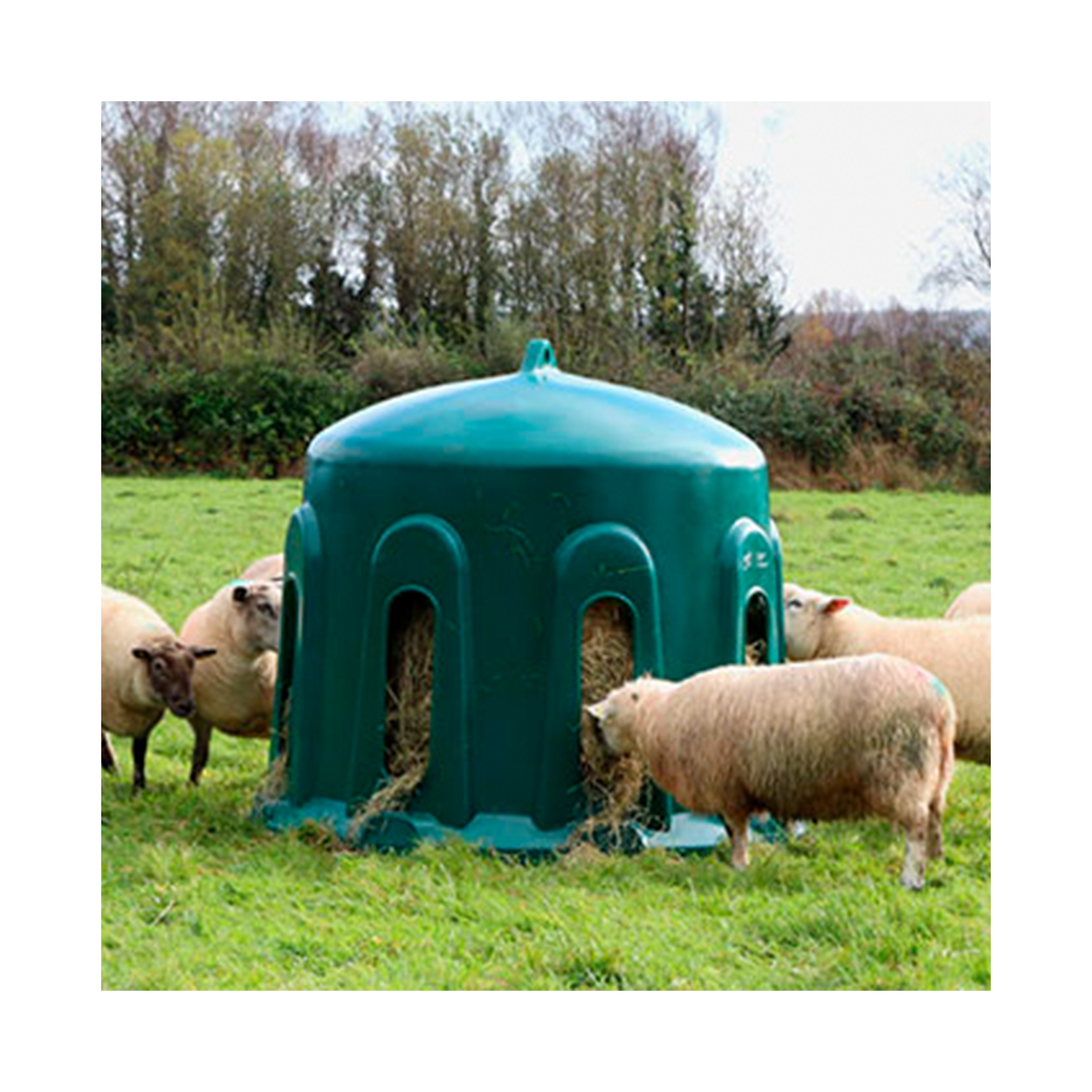 COMEDOURO REDONDO P/ OVELHAS - HB02