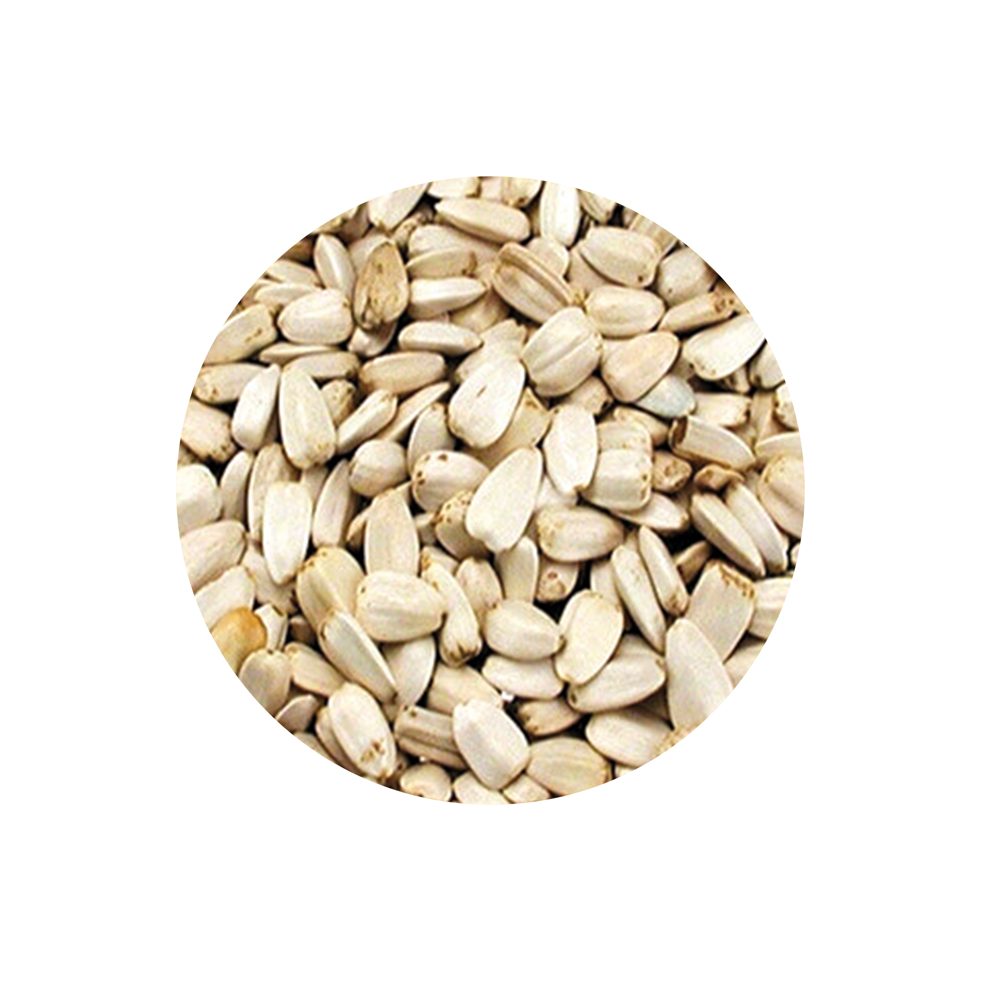 GIRASSOL BRANCO - 2.5KG