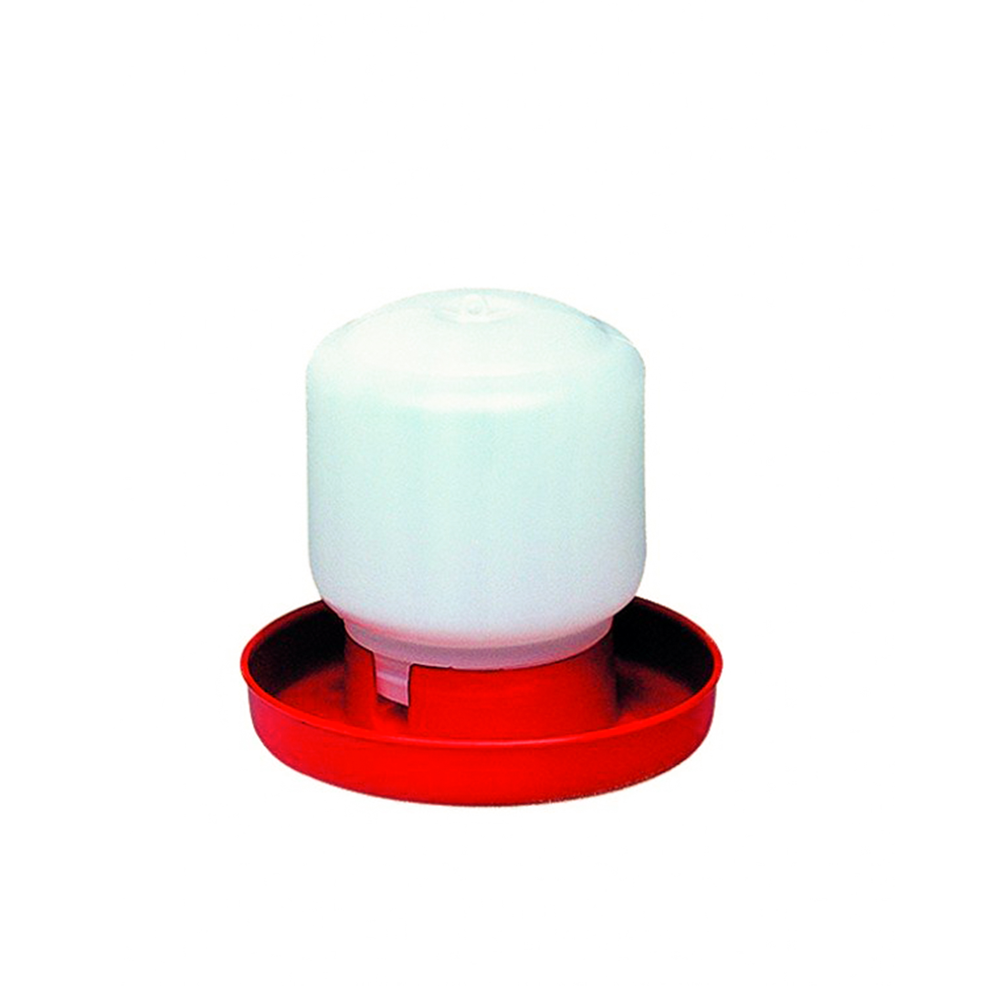 BEBED. 1LT (BOIAO ESTREITO)