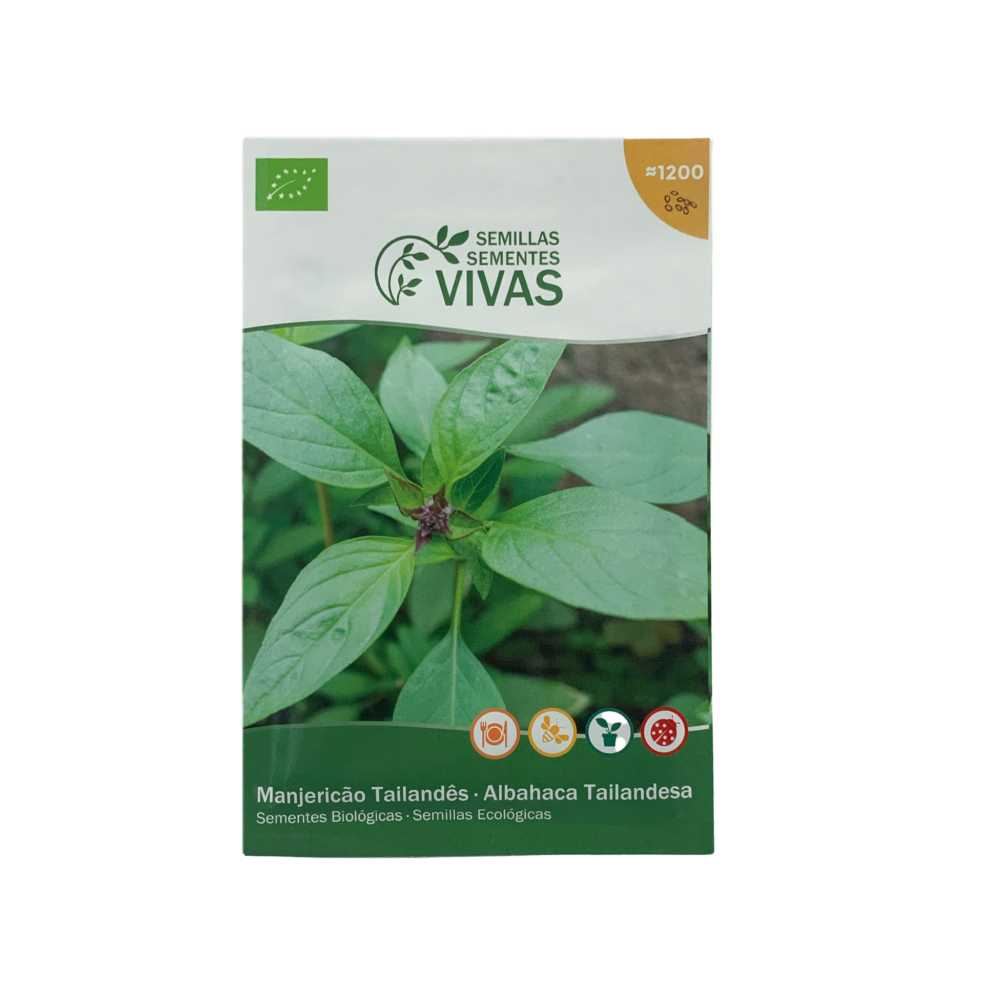 MANJERICÃO TAILANDÊS SL BIO