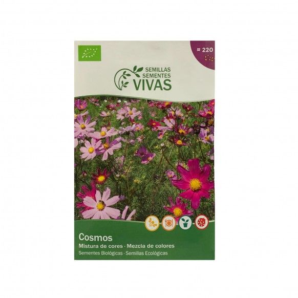 COSMOS MISTURA DE CORES PT BIO