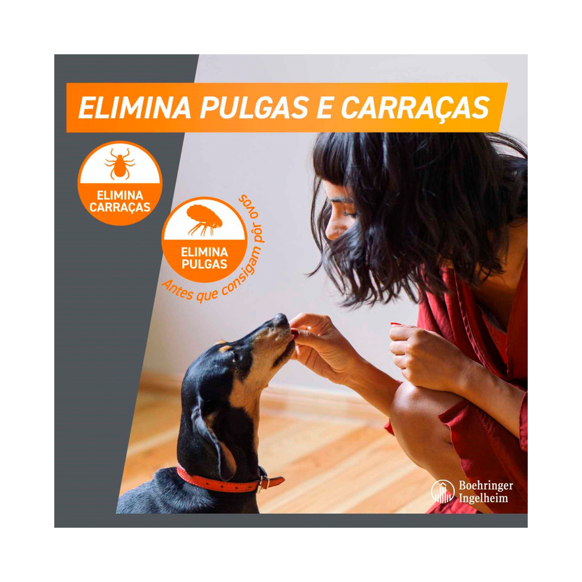 FRONTPRO XL 25-50KG - 3COMP