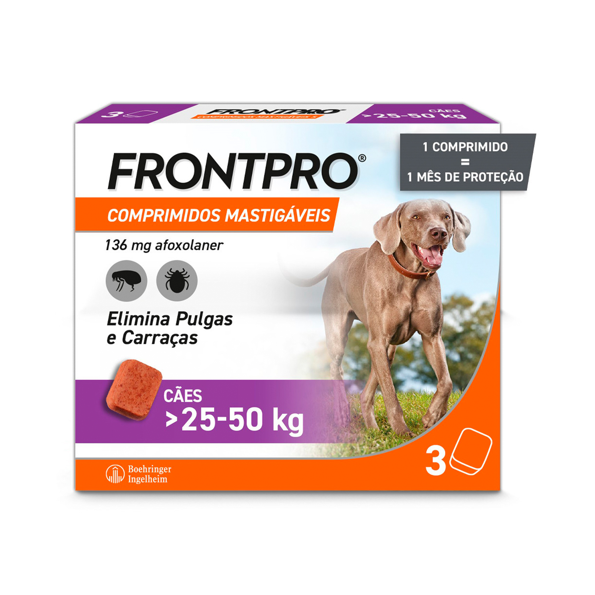 FRONTPRO XL 25-50KG - 3COMP