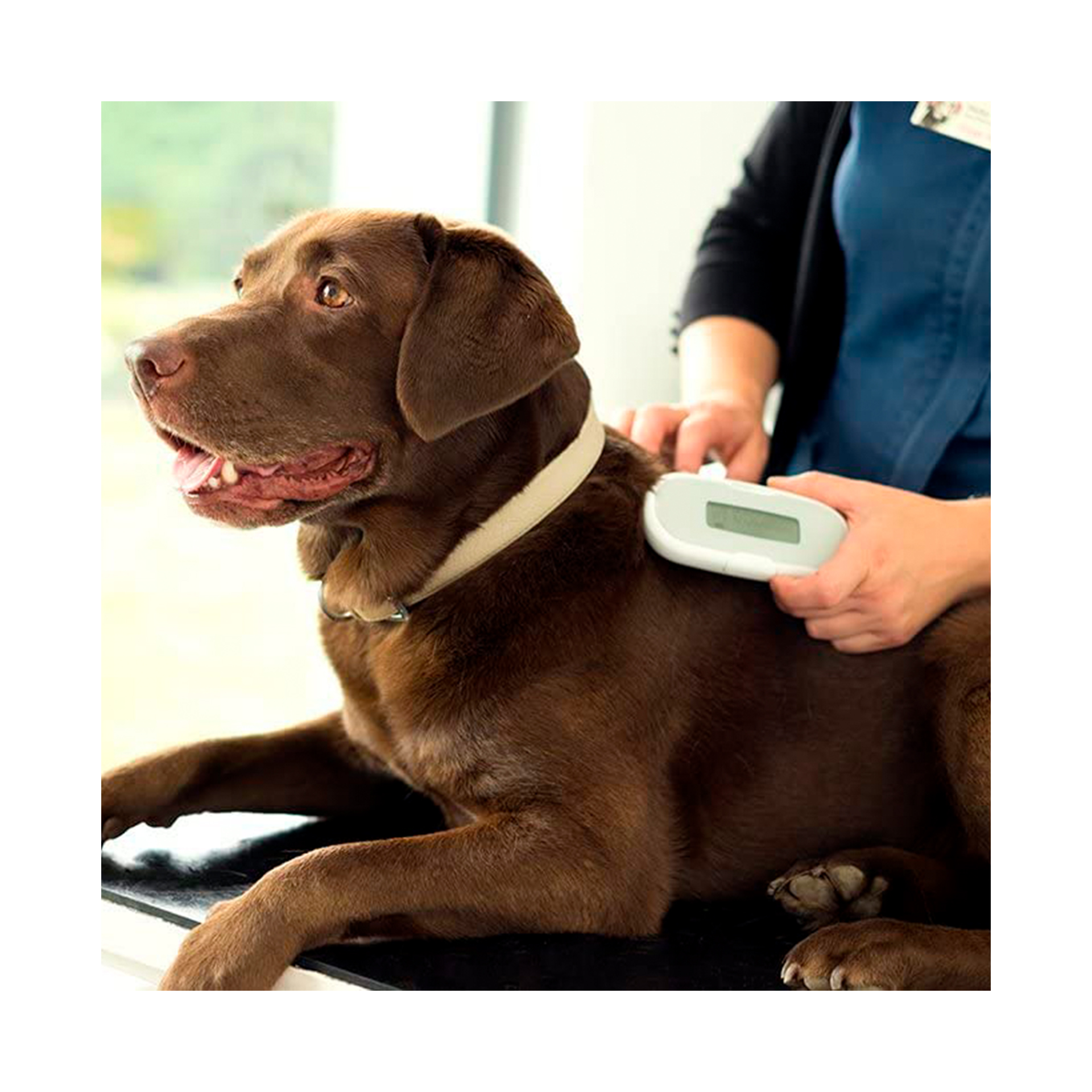 LEITOR CHIPS UNIVERSAL SURESENSE