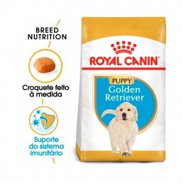 ROYAL CANIN GOLDEN RETRIEVER  JUNIOR - 12KG
