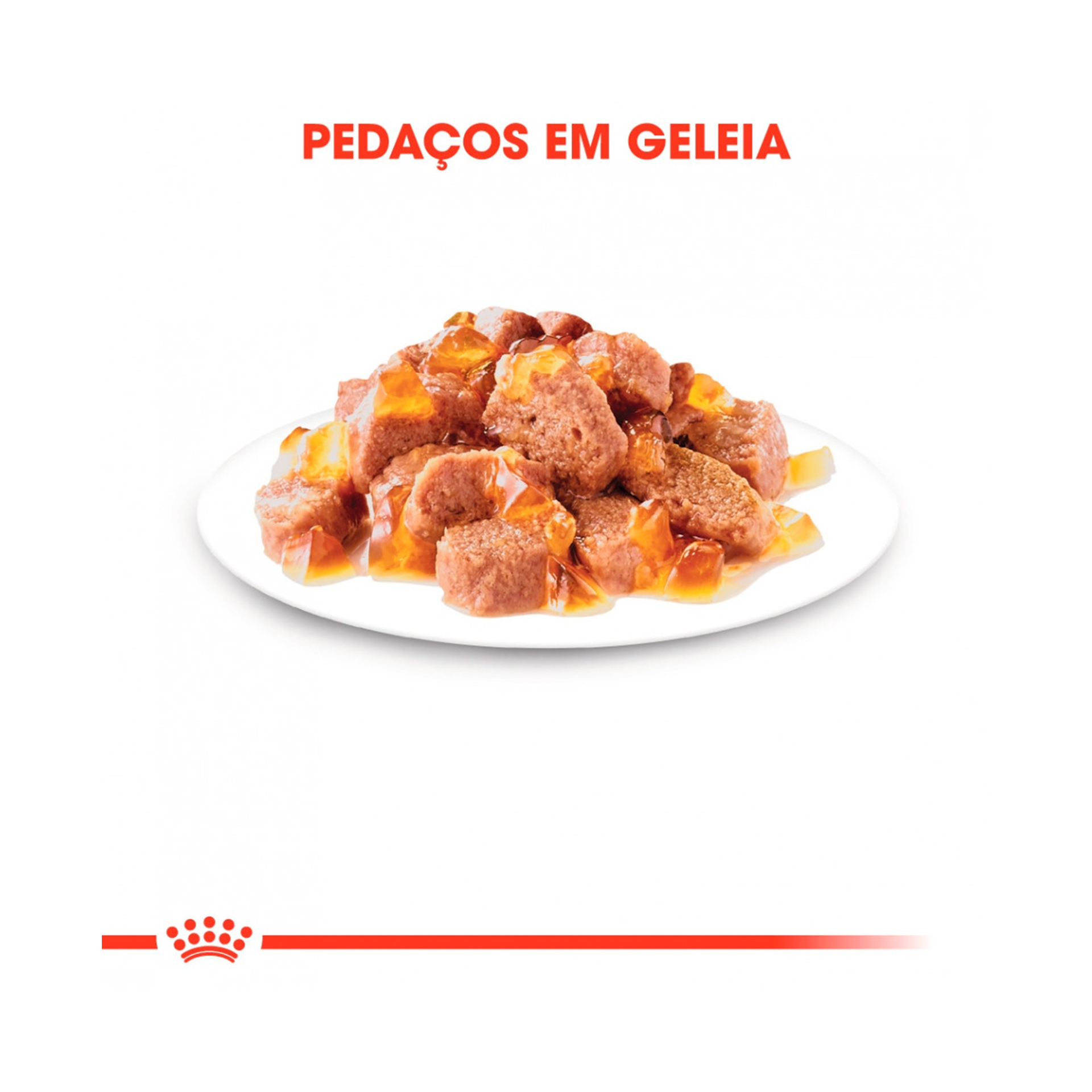 ROYAL CANIN AGEING +12 JELLY - 85GR