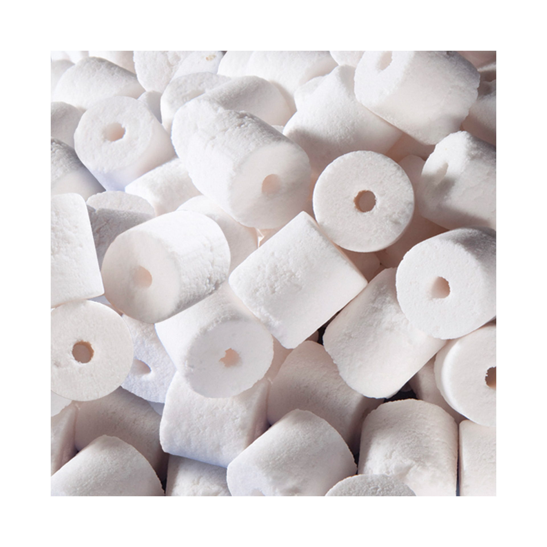 MASSA FILTRANTE BIOMAX FLUVAL - 1100GR