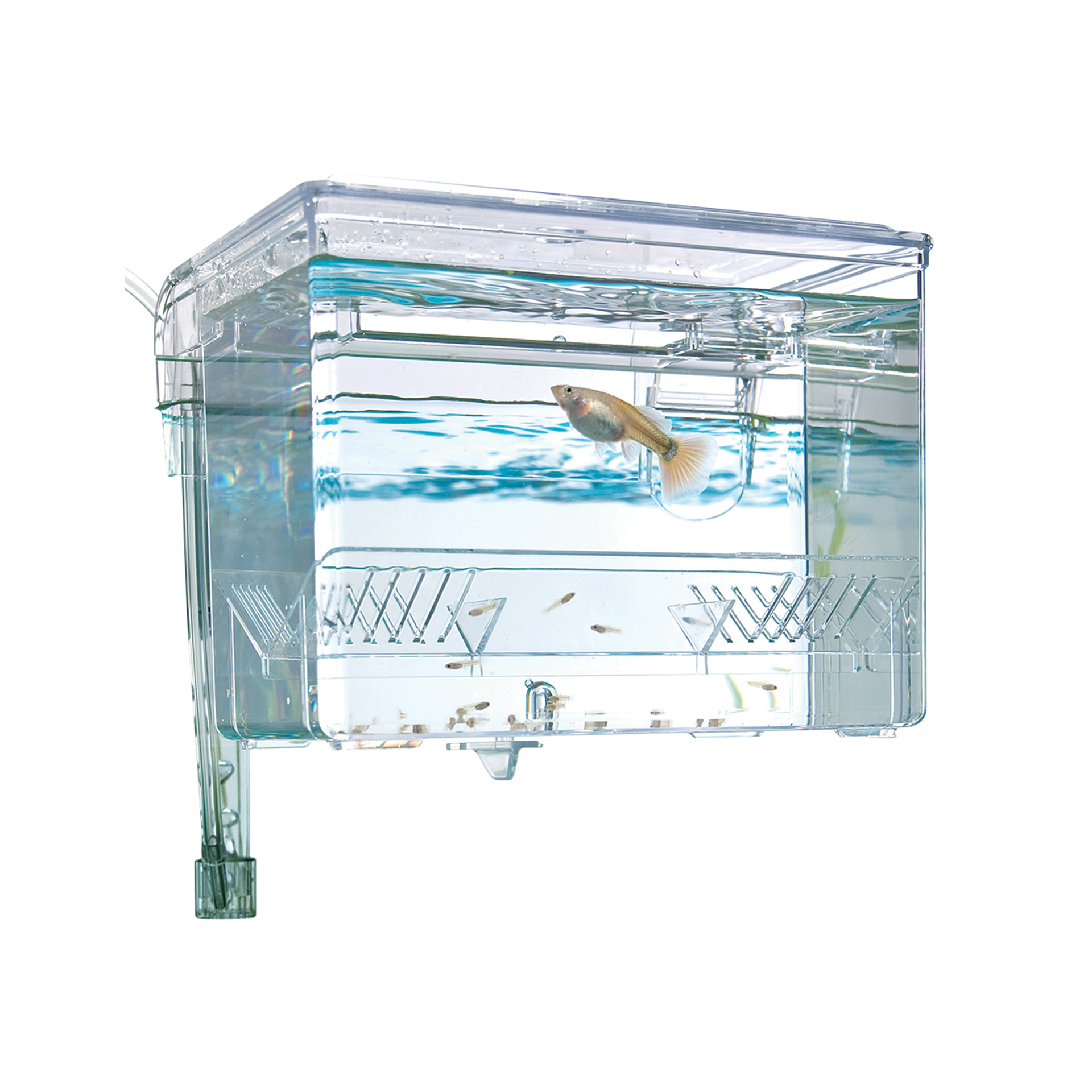 VIVEIRO DE CRIAÇAO M - 1.2L