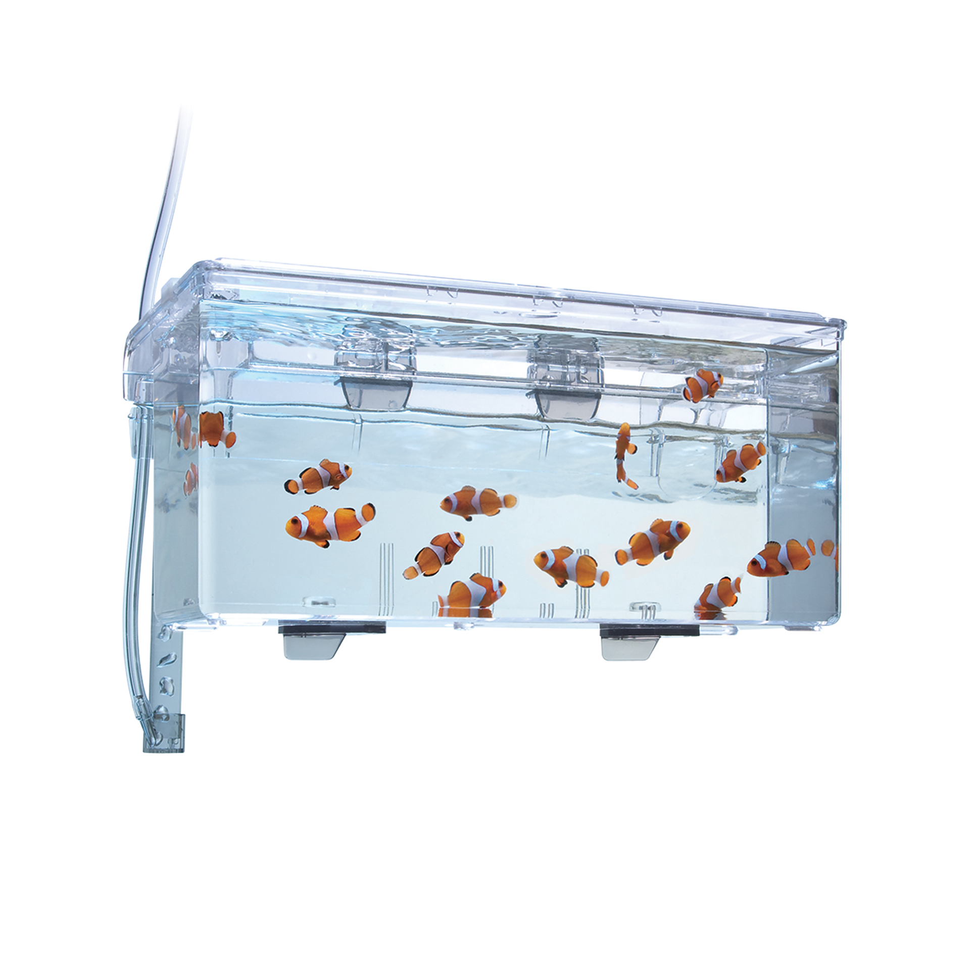 VIVEIRO DE CRIAÇAO L - 2L