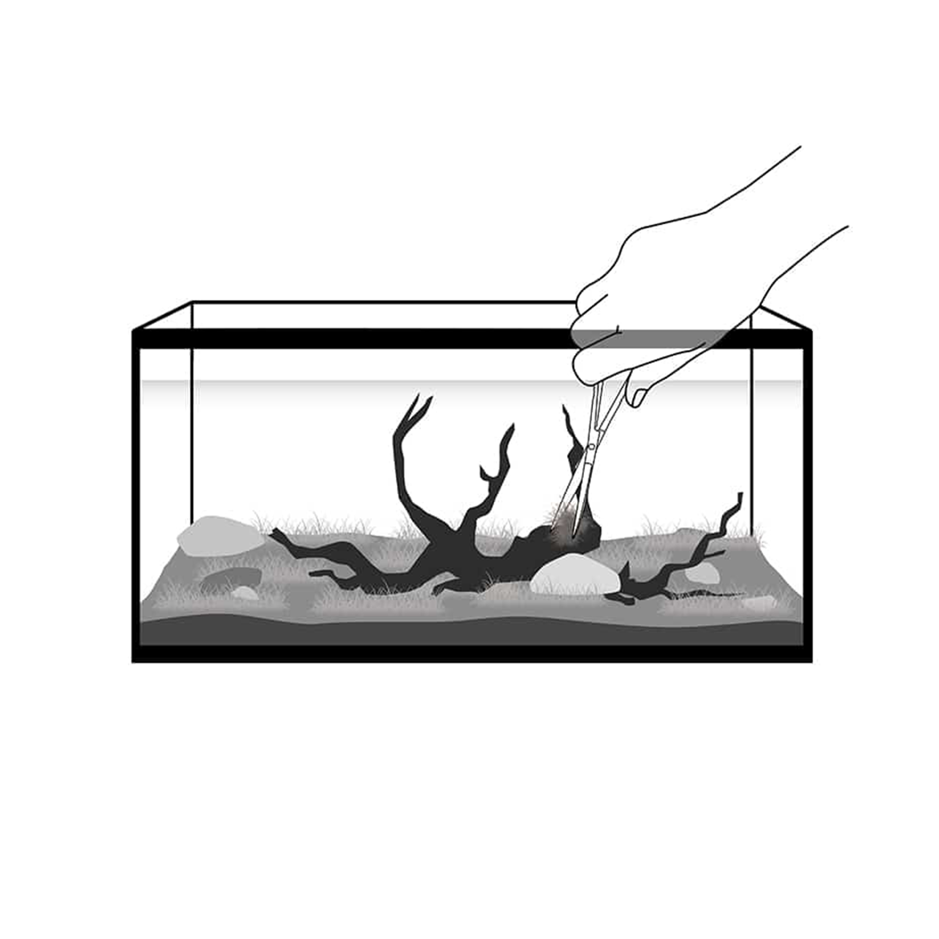 TESOURA SPRING AÇO AQUASCAPING - 25CM