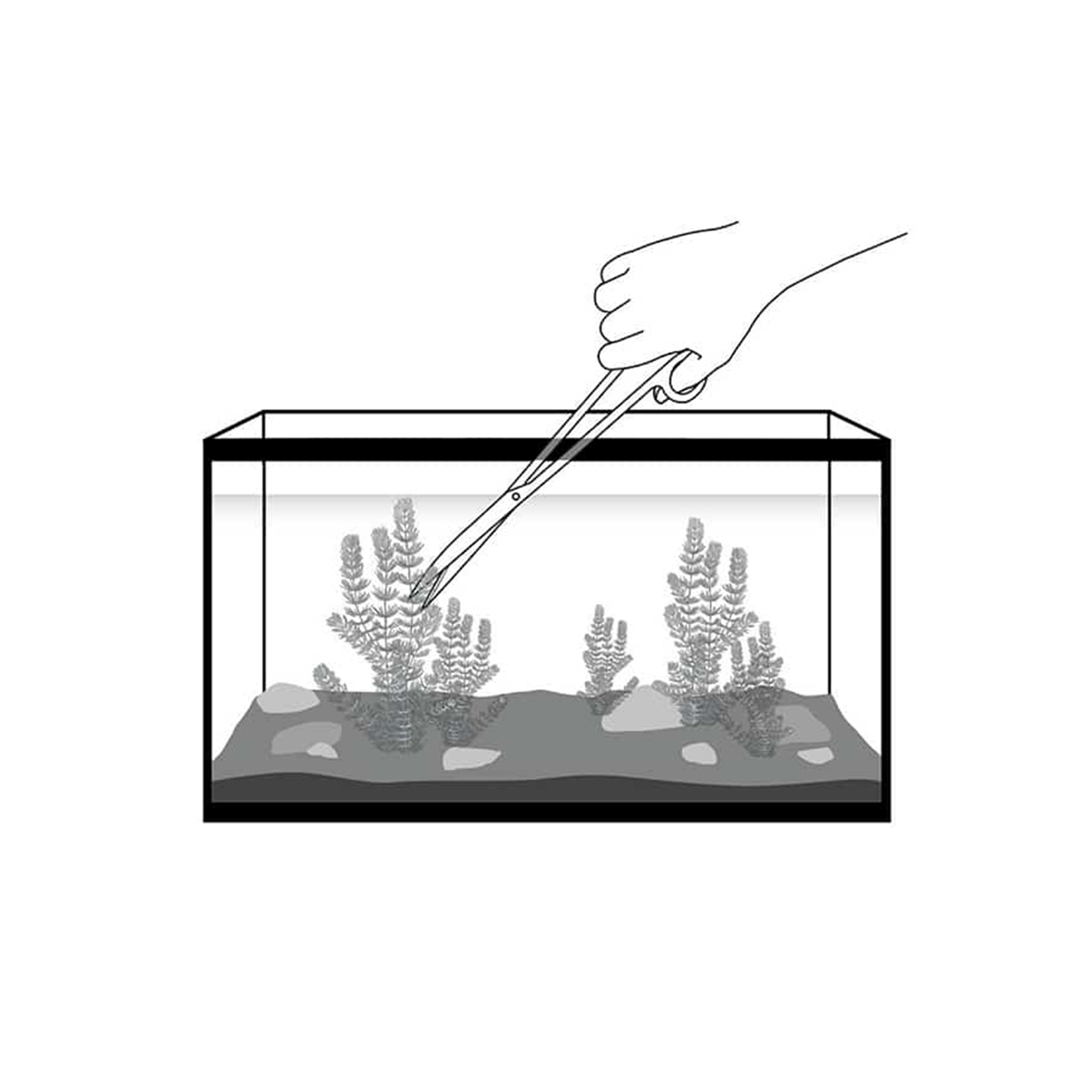 TESOURA CURVA AÇO S AQUASCAPING- 25CM