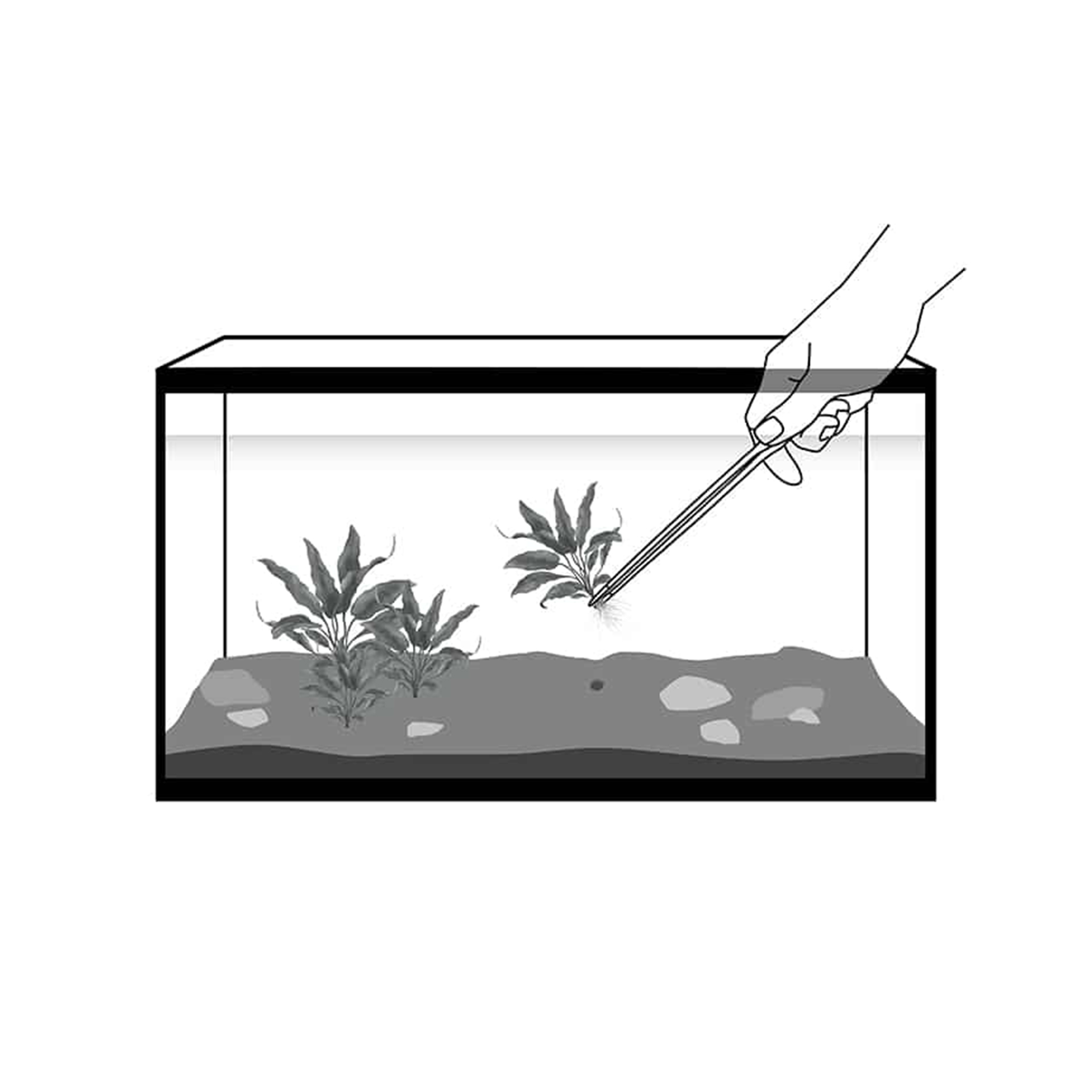 PINÇA FORCEPS AQUASCAPING - 27CM