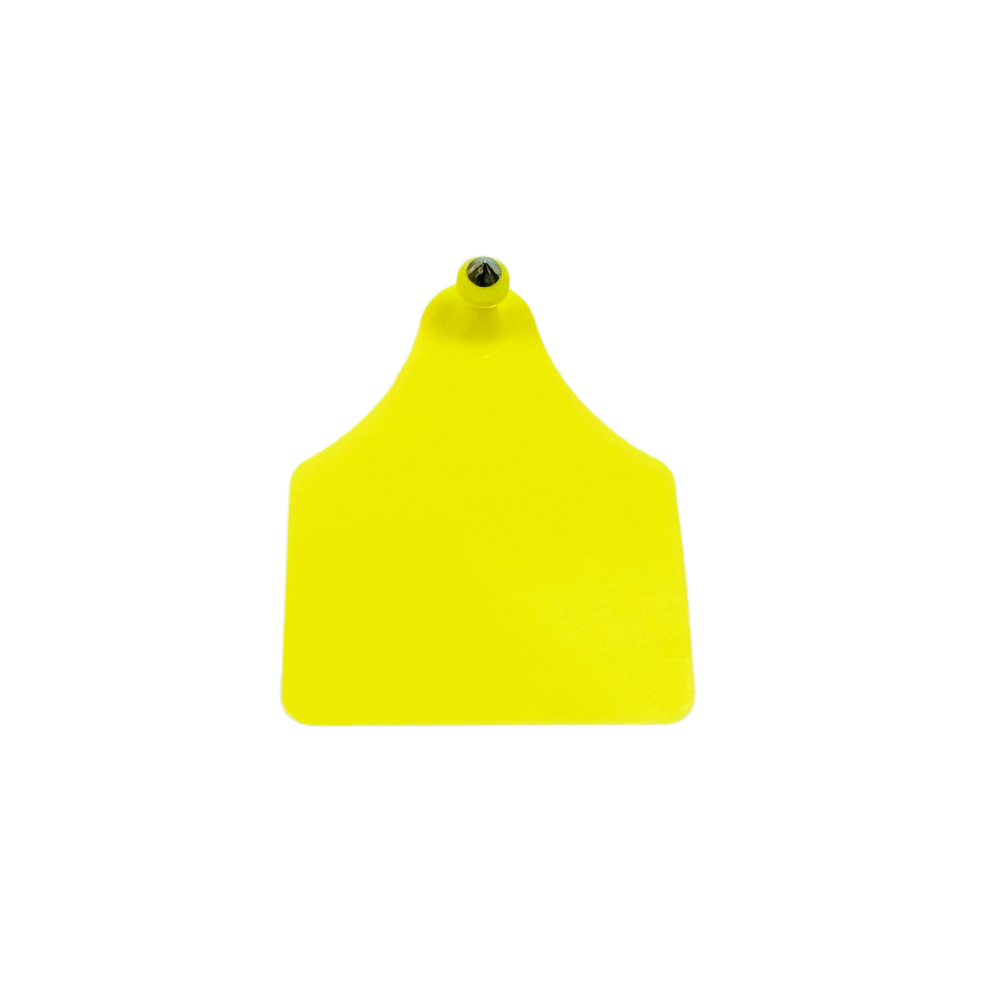 BRINCO SENIOR MACHO AMARELO