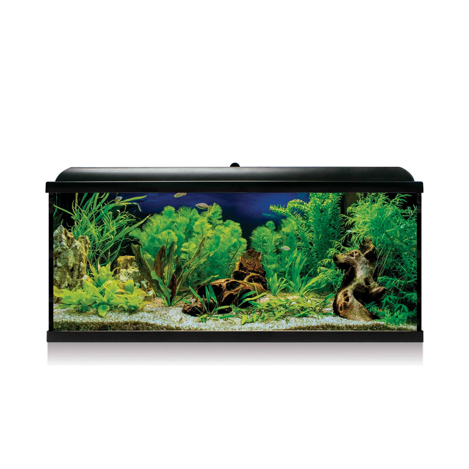 AQUARIO KIT C/ FILTRO INTERIOR - 130LT