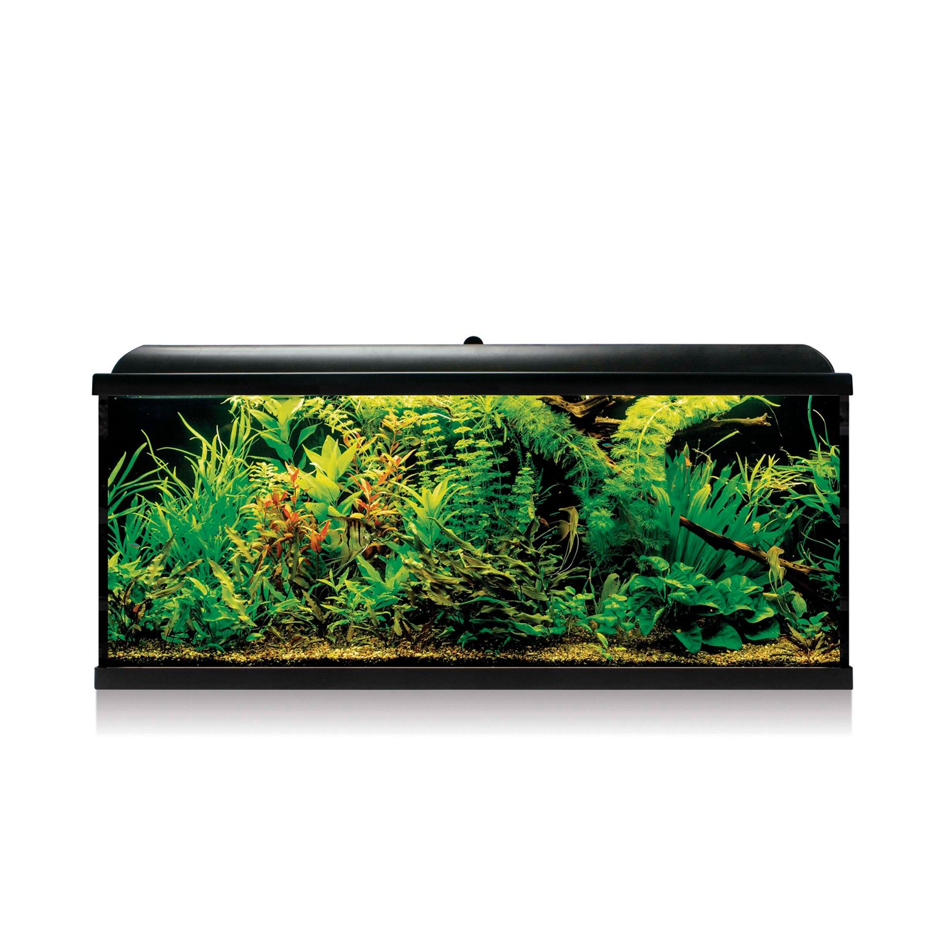 AQUARIO KIT C/ FILTRO EXTERIOR - 240LT