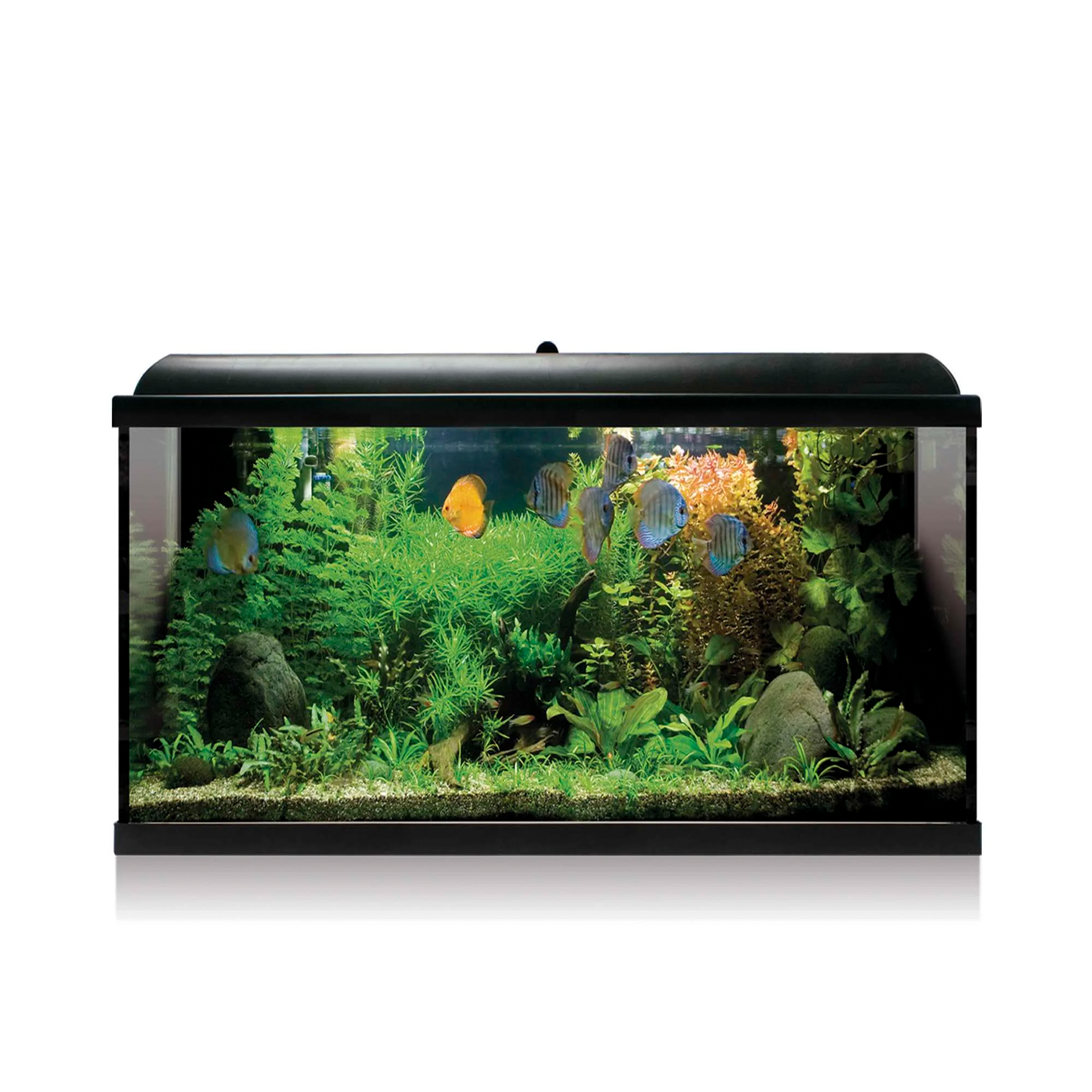 AQUARIO KIT C/ FILTRO INTERIOR - 100LT