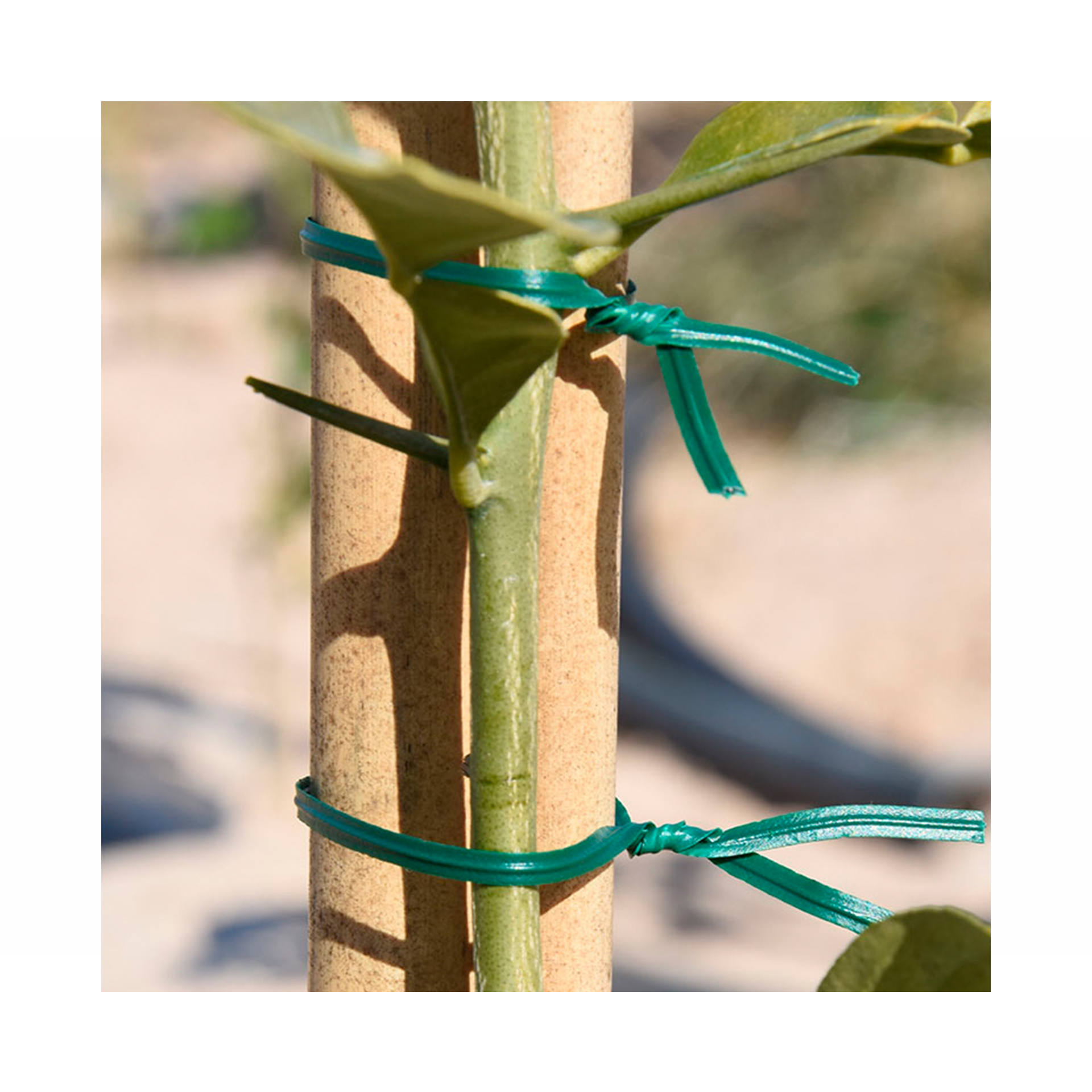 FIO PLASTICO C/ CORTADOR 1MM - 30MT