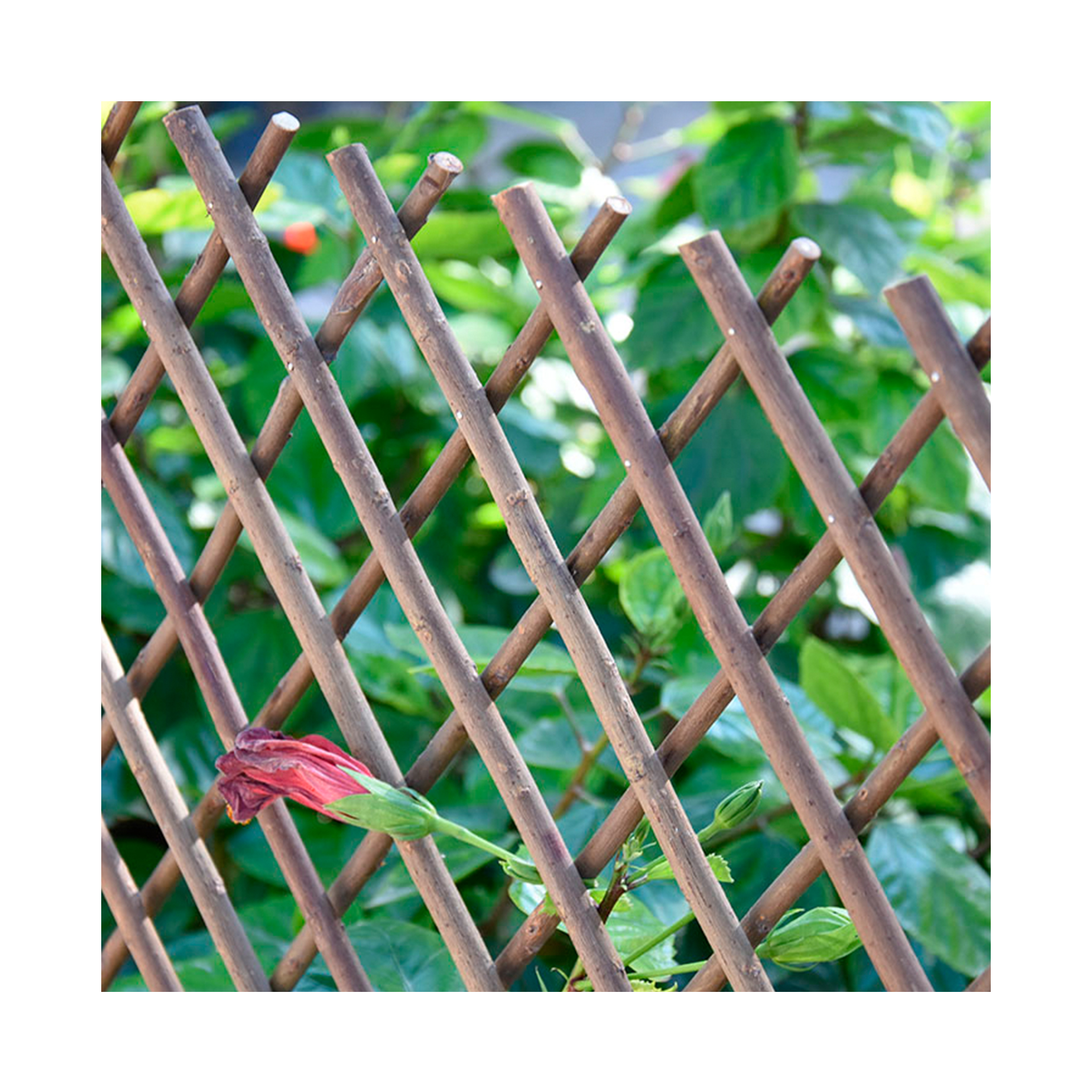 TRELIÇA VIME EXTENSIVEL - 50X150CM