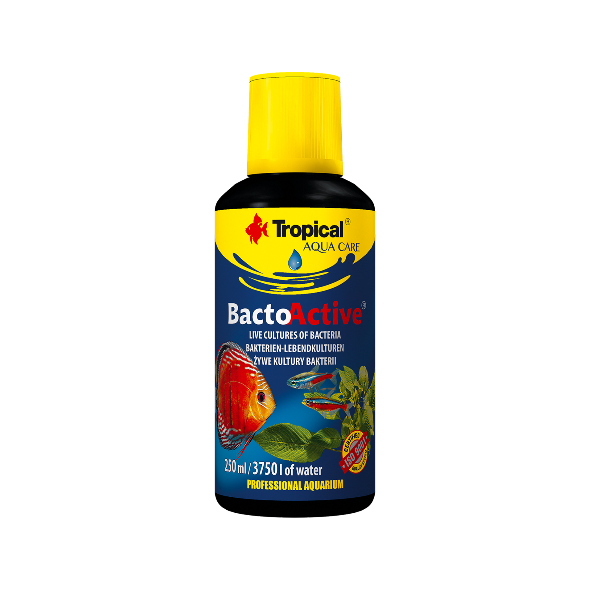 BACTO-ACTIVE CULTURAS VIVAS DE BACTERIAS - 250ML