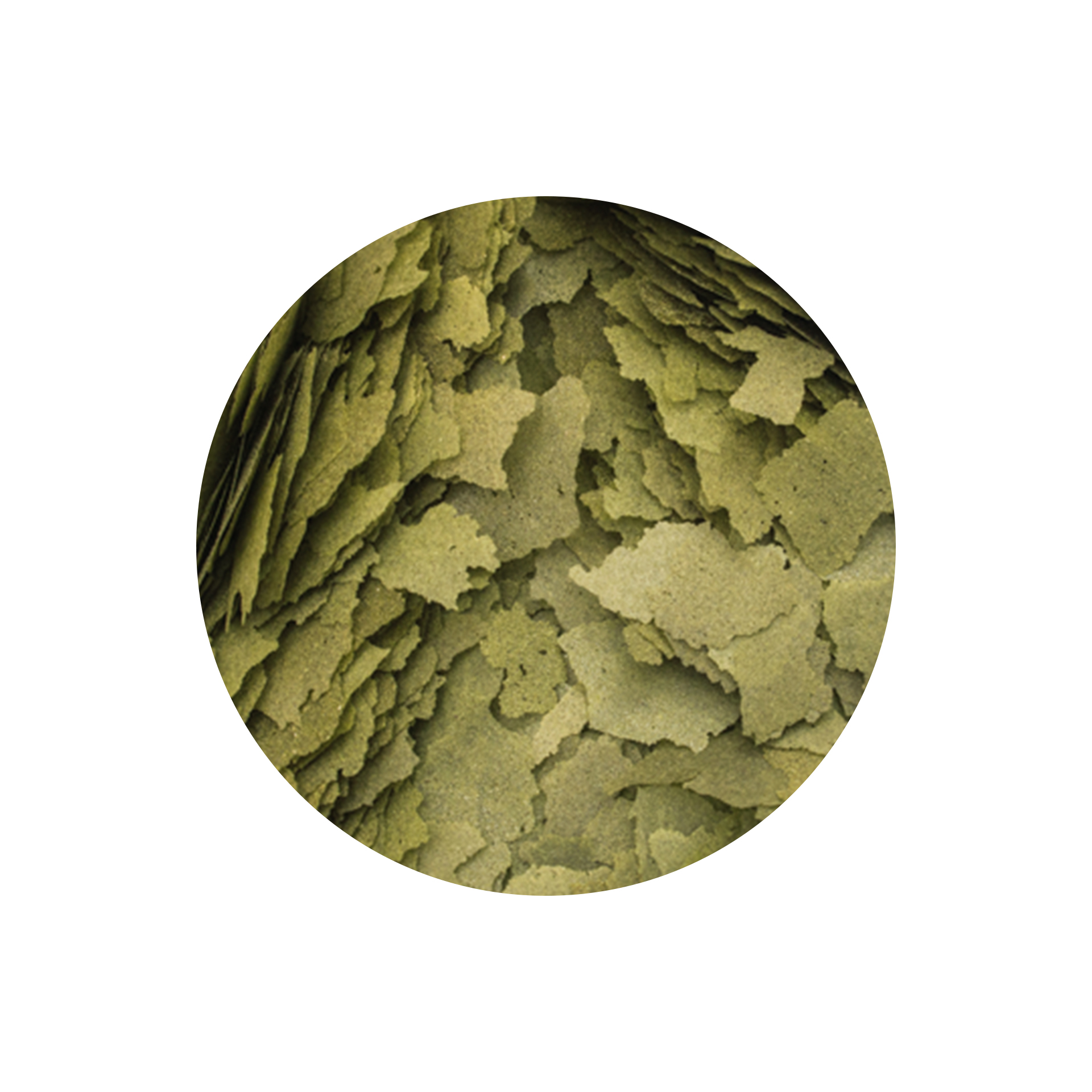 ALIMENTO P/ PEIXES 3-ALGAE FLAKES - 50GR