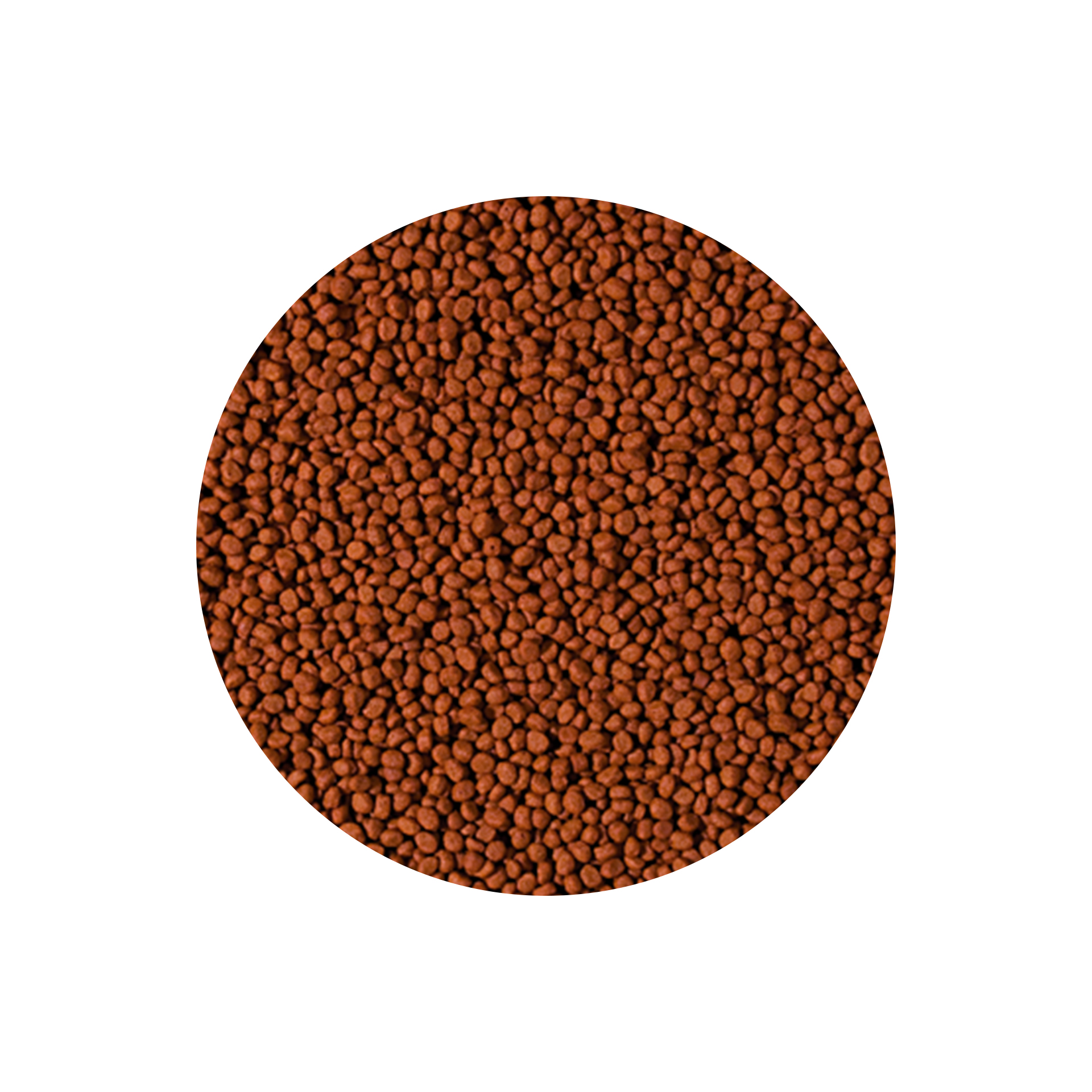 ALIMENTO P/ CICLIDEOS CARNIVOROS SMALL PELLET - 90GR